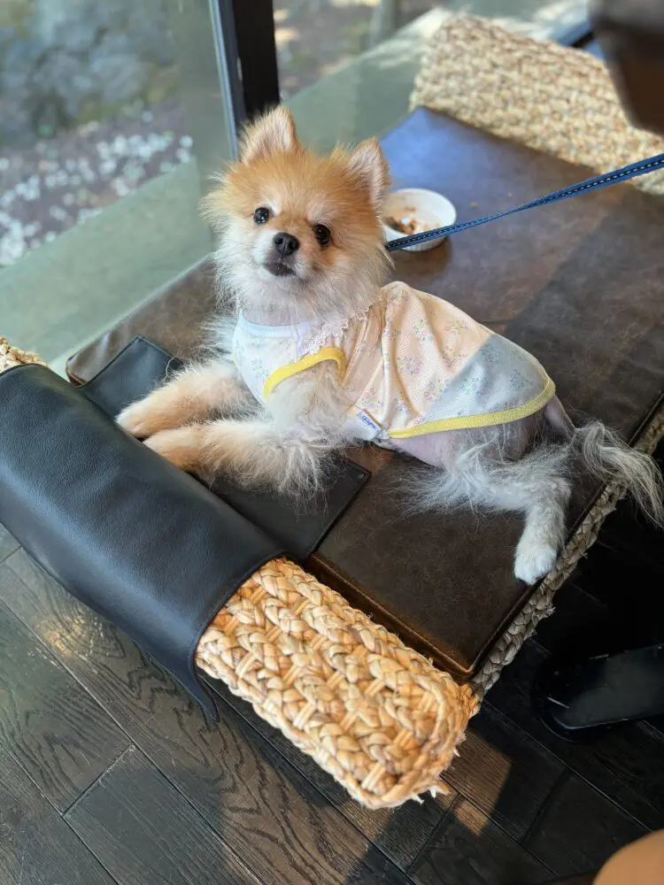 レストランのミックさん