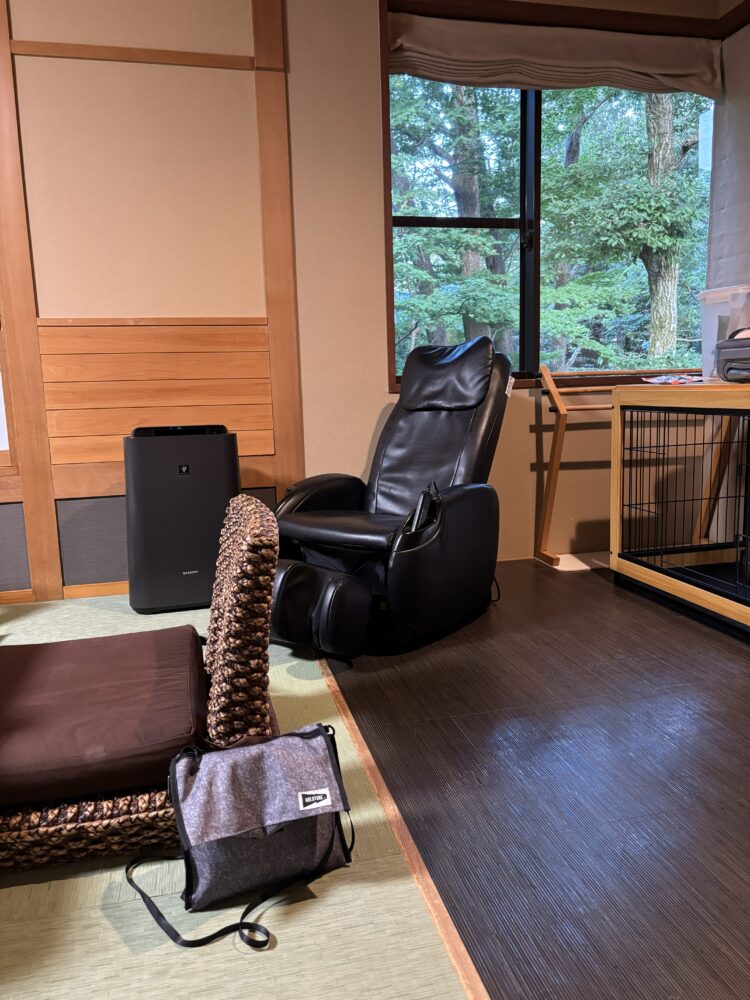 ウブドの森のマッサージ機